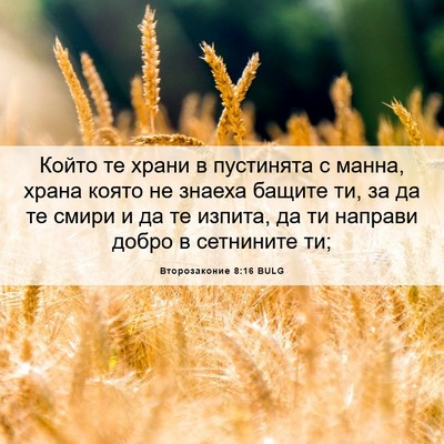 Picture 06 - Второзаконие 8:16 BULG - Който те храни в пустинята - Bible Verse Picture