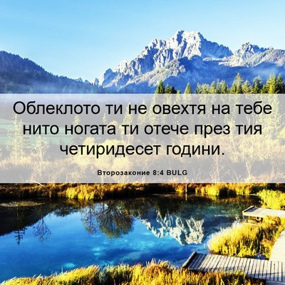 Picture 06 - Второзаконие 8:4 BULG - Облеклото ти не овехтя на - Bible Verse Picture