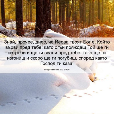 Picture 06 - Второзаконие 9:3 BULG - Знай, прочее, днес, че Иеова - Bible Verse Picture