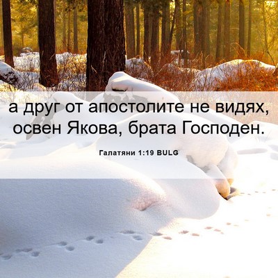 Picture 06 - Галатяни 1:19 BULG - а друг от апостолите не - Bible Verse Picture