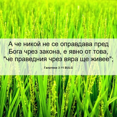 Picture 06 - Галатяни 3:11 BULG - А че никой не се оправдава - Bible Verse Picture