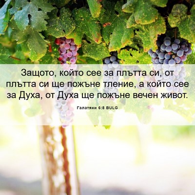Picture 06 - Галатяни 6:8 BULG - Защото, който сее за плътта - Bible Verse Picture