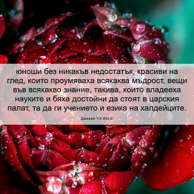 Picture 06 - Данаил 1:4 BULG - юноши без никакъв - Bible Verse Picture