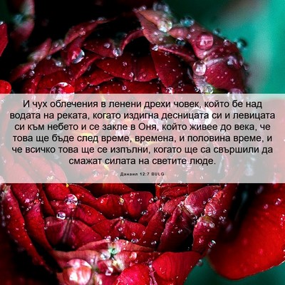 Picture 06 - Данаил 12:7 BULG - И чух облечения в ленени - Bible Verse Picture