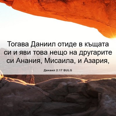 Picture 06 - Данаил 2:17 BULG - Тогава Даниил отиде в - Bible Verse Picture