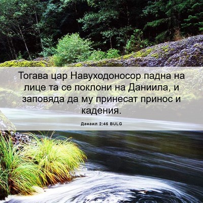 Picture 06 - Данаил 2:46 BULG - Тогава цар Навуходоносор - Bible Verse Picture