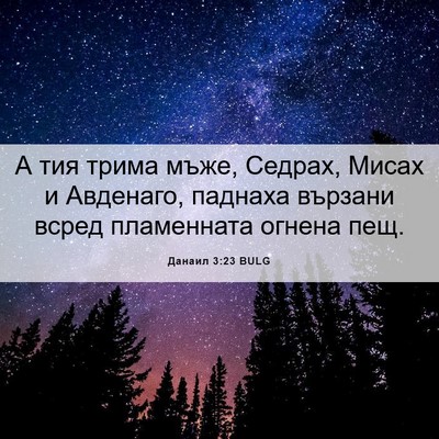 Picture 06 - Данаил 3:23 BULG - А тия трима мъже, Седрах, - Bible Verse Picture