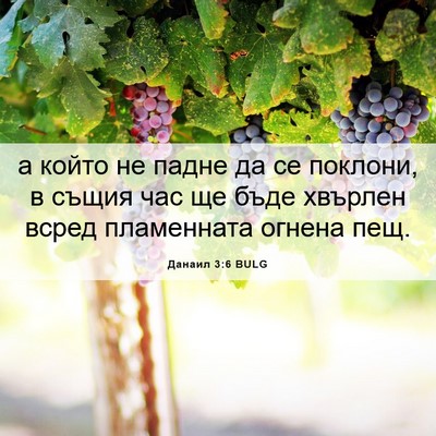 Picture 06 - Данаил 3:6 BULG - а който не падне да се - Bible Verse Picture