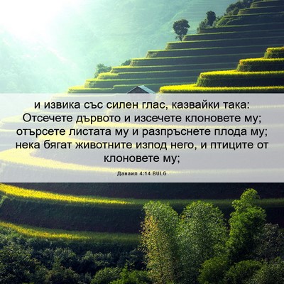 Picture 06 - Данаил 4:14 BULG - и извика със силен глас, - Bible Verse Picture