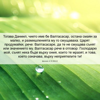 Picture 06 - Данаил 4:19 BULG - Тогава Даниил, чието име бе - Bible Verse Picture