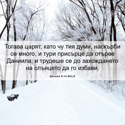 Picture 06 - Данаил 6:14 BULG - Тогава царят, като чу тия - Bible Verse Picture