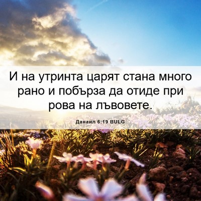 Picture 06 - Данаил 6:19 BULG - И на утринта царят стана - Bible Verse Picture