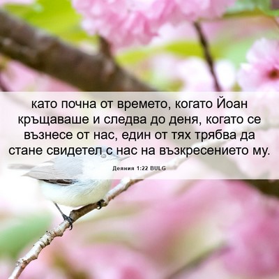 Picture 06 - Деяния 1:22 BULG - като почна от времето, - Bible Verse Picture