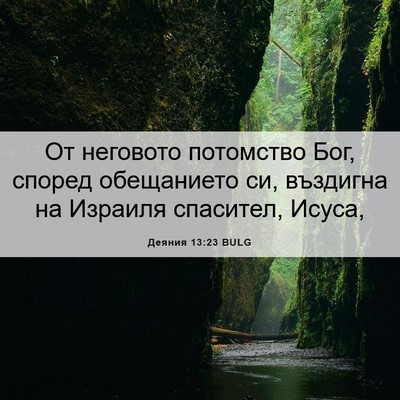 Picture 06 - Деяния 13:23 BULG - От неговото потомство Бог, - Bible Verse Picture