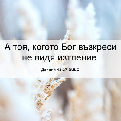 Picture 06 - Деяния 13:37 BULG - А тоя, когото Бог възкреси - Bible Verse Picture