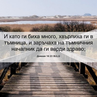 Picture 06 - Деяния 16:23 BULG - И като ги биха много, - Bible Verse Picture