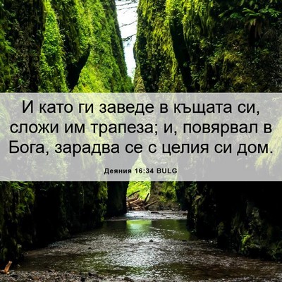 Picture 06 - Деяния 16:34 BULG - И като ги заведе в къщата - Bible Verse Picture