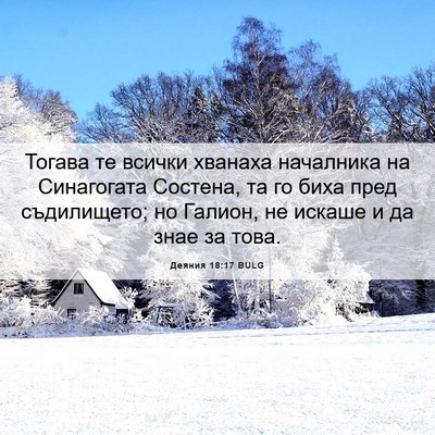 Picture 06 - Деяния 18:17 BULG - Тогава те всички хванаха - Bible Verse Picture