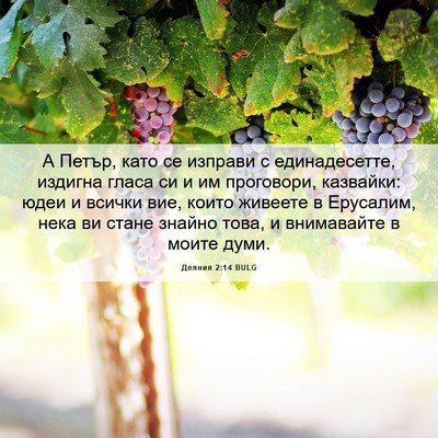 Picture 06 - Деяния 2:14 BULG - А Петър, като се изправи с - Bible Verse Picture