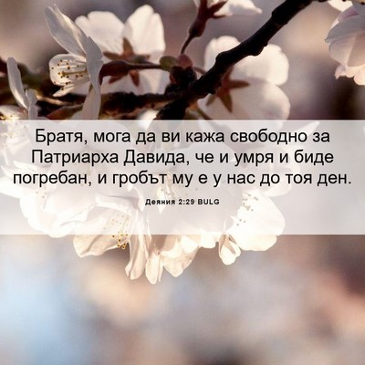 Picture 06 - Деяния 2:29 BULG - Братя, мога да ви кажа - Bible Verse Picture