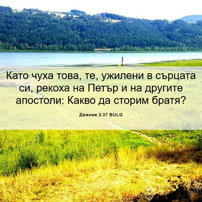 Picture 06 - Деяния 2:37 BULG - Като чуха това, те, ужилени - Bible Verse Picture