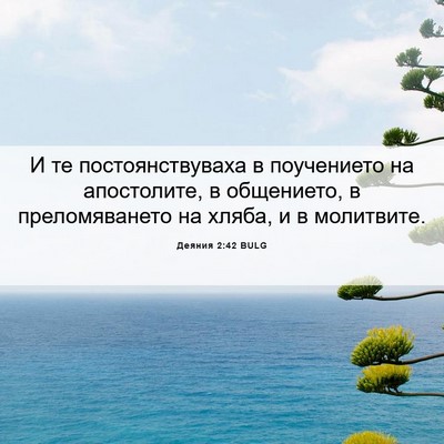 Picture 06 - Деяния 2:42 BULG - И те постоянствуваха в - Bible Verse Picture