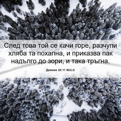 Picture 06 - Деяния 20:11 BULG - След това той се качи горе, - Bible Verse Picture