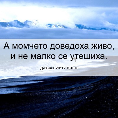 Picture 06 - Деяния 20:12 BULG - А момчето доведоха живо, и - Bible Verse Picture
