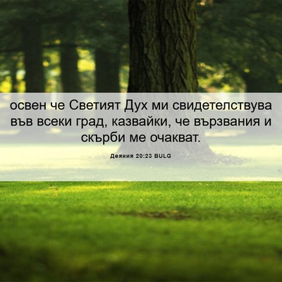 Picture 06 - Деяния 20:23 BULG - освен че Светият Дух ми - Bible Verse Picture