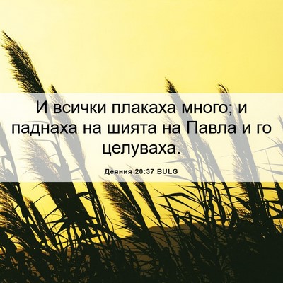 Picture 06 - Деяния 20:37 BULG - И всички плакаха много; и - Bible Verse Picture