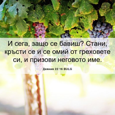 Picture 06 - Деяния 22:16 BULG - И сега, защо се бавиш? - Bible Verse Picture