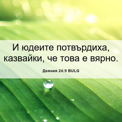 Picture 06 - Деяния 24:9 BULG - И юдеите потвърдиха, - Bible Verse Picture