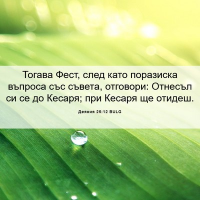 Picture 06 - Деяния 25:12 BULG - Тогава Фест, след като - Bible Verse Picture