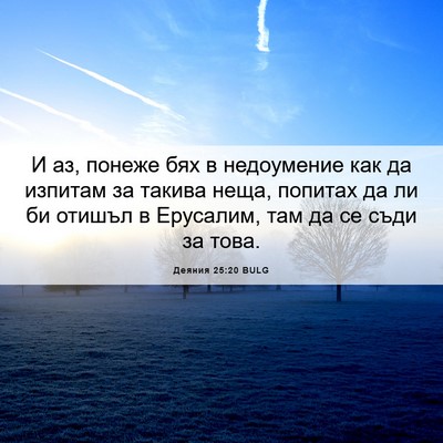 Picture 06 - Деяния 25:20 BULG - И аз, понеже бях в - Bible Verse Picture