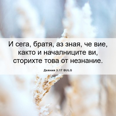 Picture 06 - Деяния 3:17 BULG - И сега, братя, аз зная, че - Bible Verse Picture