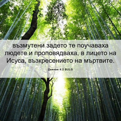Picture 06 - Деяния 4:2 BULG - възмутени задето те - Bible Verse Picture