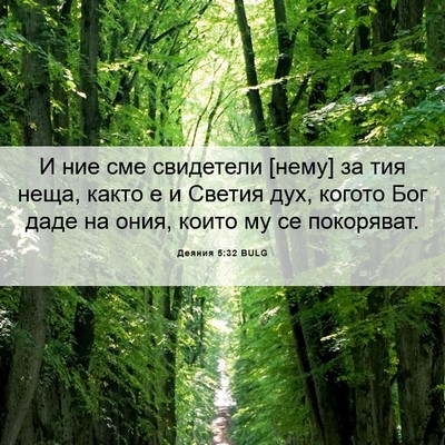 Picture 06 - Деяния 5:32 BULG - И ние сме свидетели [нему] - Bible Verse Picture