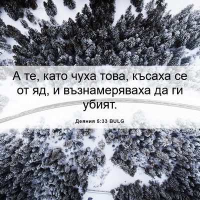 Picture 06 - Деяния 5:33 BULG - А те, като чуха това, късаха - Bible Verse Picture