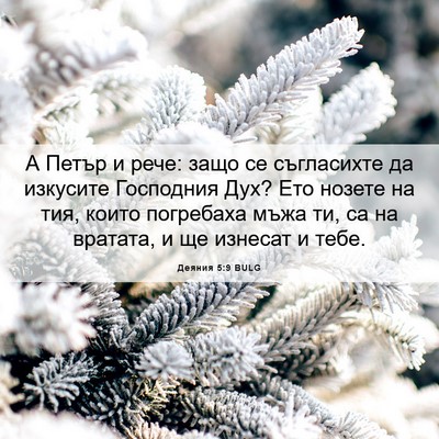 Picture 06 - Деяния 5:9 BULG - А Петър и рече: защо се - Bible Verse Picture