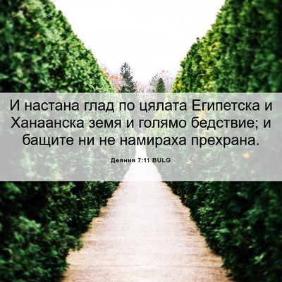 Picture 06 - Деяния 7:11 BULG - И настана глад по цялата - Bible Verse Picture