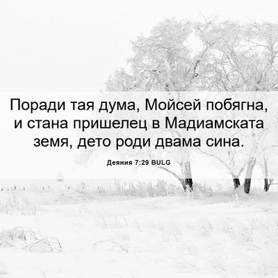 Picture 06 - Деяния 7:29 BULG - Поради тая дума, Мойсей - Bible Verse Picture