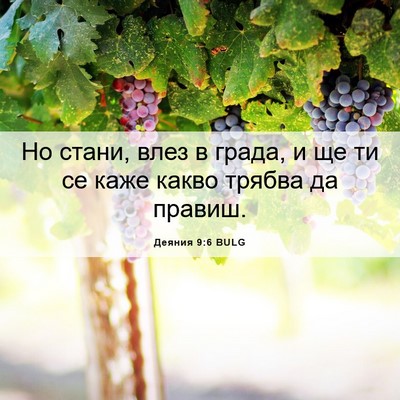 Picture 06 - Деяния 9:6 BULG - Но стани, влез в града, и ще - Bible Verse Picture