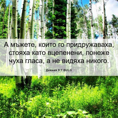 Picture 06 - Деяния 9:7 BULG - А мъжете, които го - Bible Verse Picture