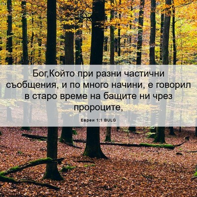 Picture 06 - Евреи 1:1 BULG - Бог,Който при разни - Bible Verse Picture