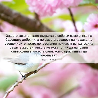 Picture 06 - Евреи 10:1 BULG - Защото законът, като - Bible Verse Picture
