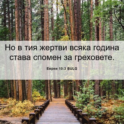 Picture 06 - Евреи 10:3 BULG - Но в тия жертви всяка - Bible Verse Picture