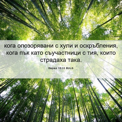 Picture 06 - Евреи 10:33 BULG - кога опозорявани с хули и - Bible Verse Picture
