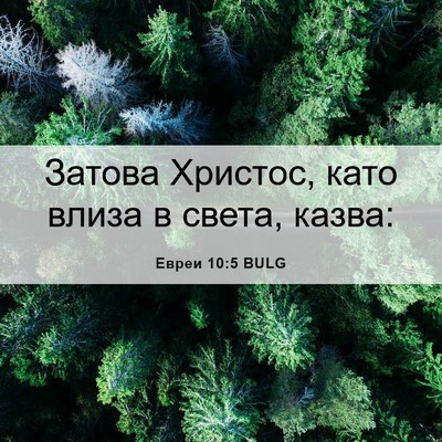 Picture 06 - Евреи 10:5 BULG - Затова Христос, като влиза - Bible Verse Picture