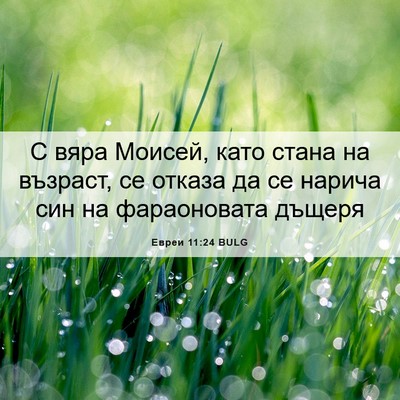 Picture 06 - Евреи 11:24 BULG - С вяра Моисей, като стана - Bible Verse Picture