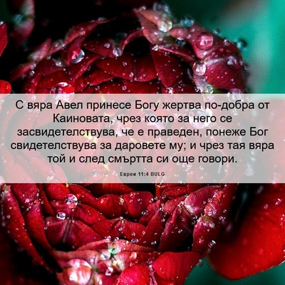 Picture 06 - Евреи 11:4 BULG - С вяра Авел принесе Богу - Bible Verse Picture